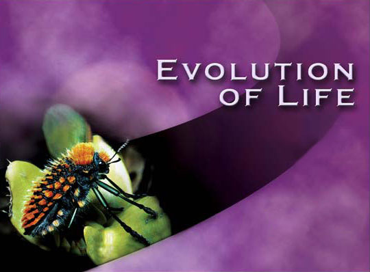 VTT - Evolution Of Life