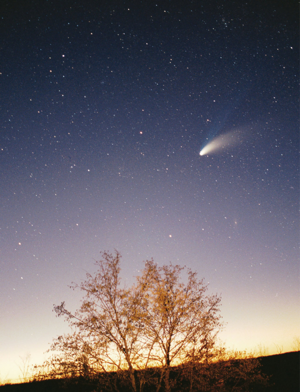 Comet Hale Hopp