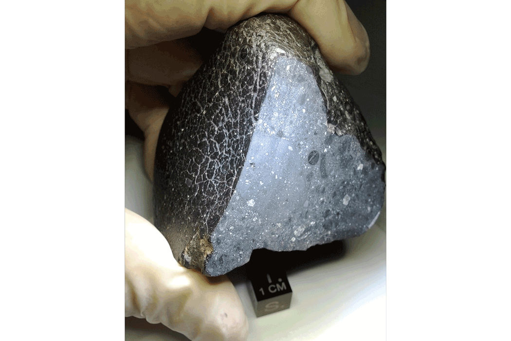 Fragment of the Black Beauty meteorite