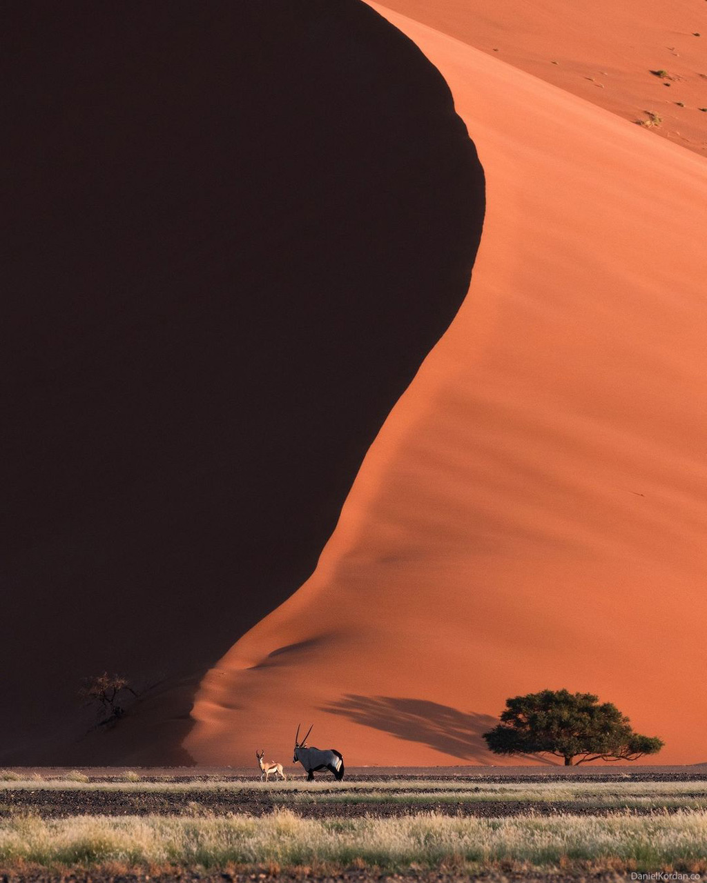 Giant Dune