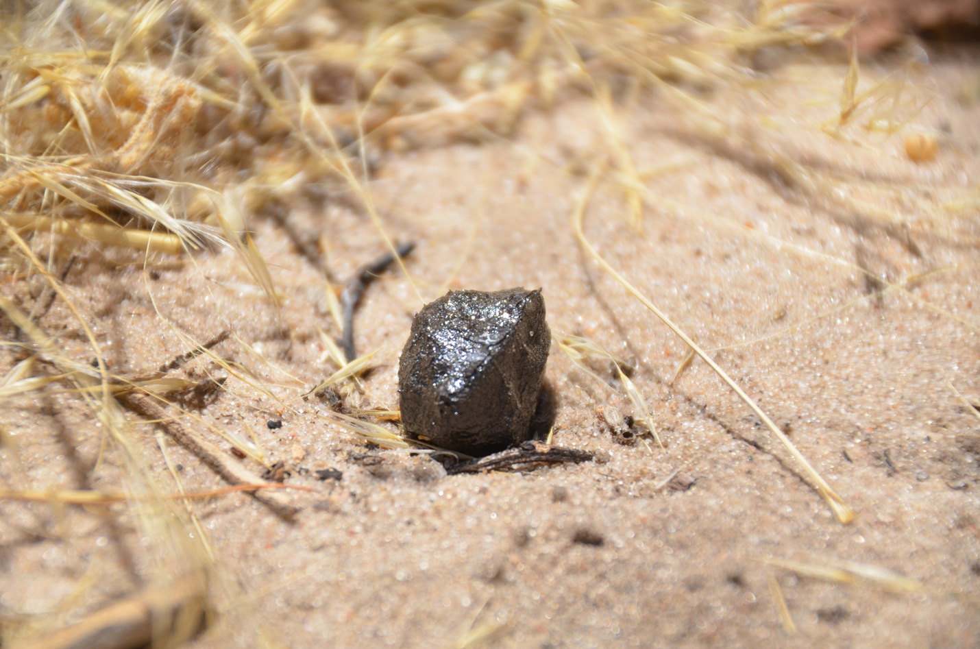Fragment of asteroid 2018 LA recovered in Central Kalahari Game Reserve in central Botswana.