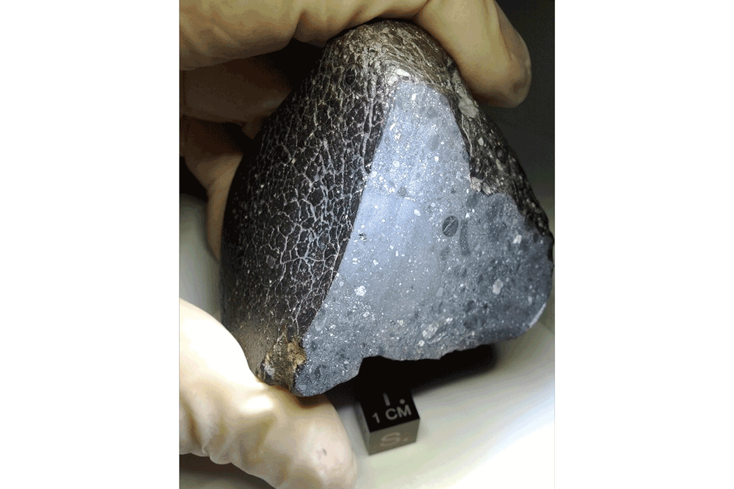 Fragment of the Black Beauty meteorite. Credit: NASA