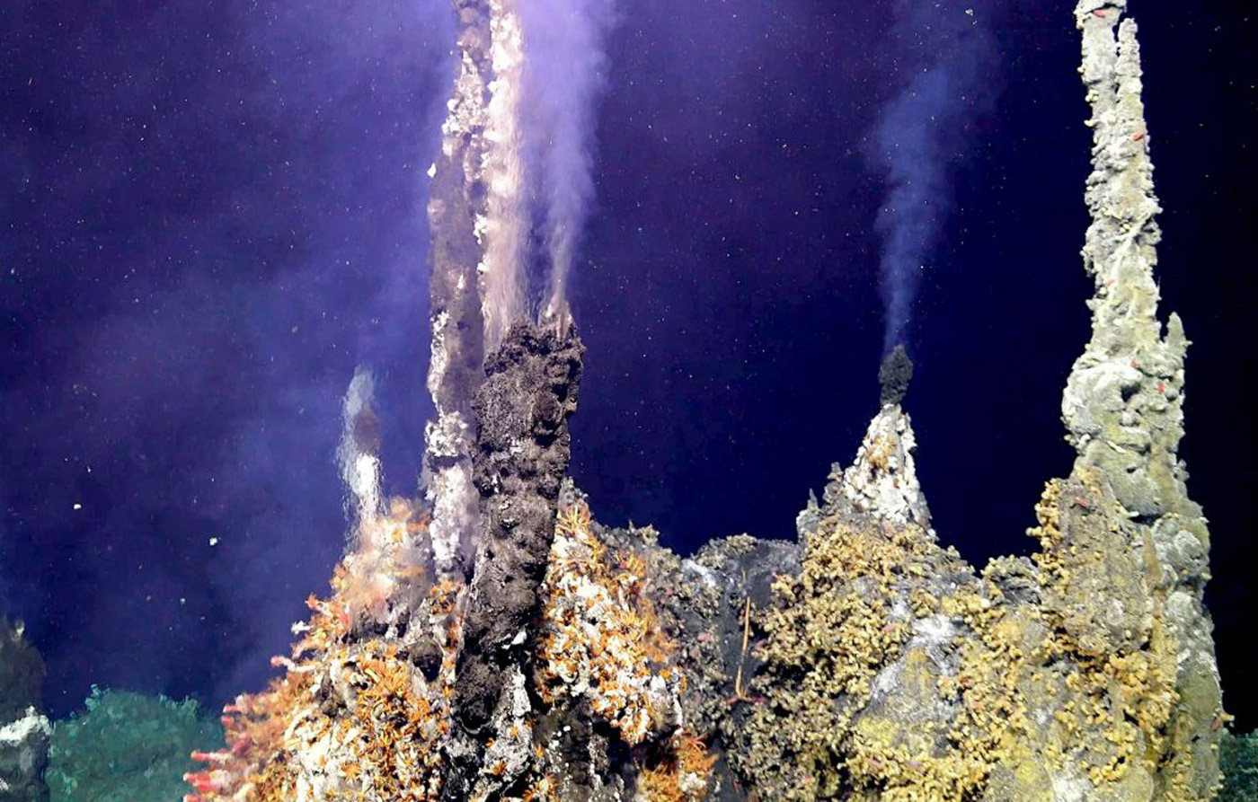 Hydrothermal system at Axial Seamount.