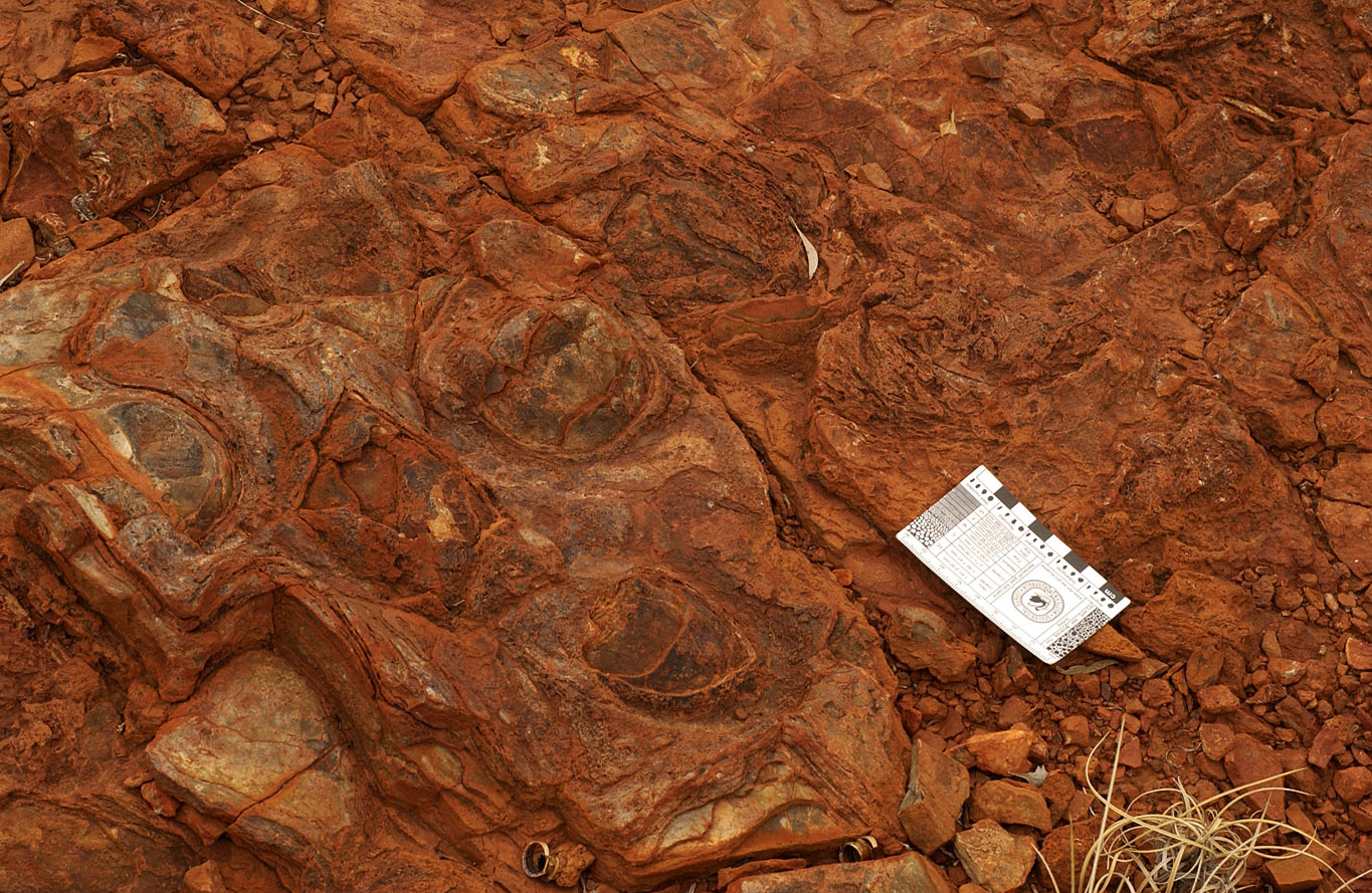 North Pole stromatolites