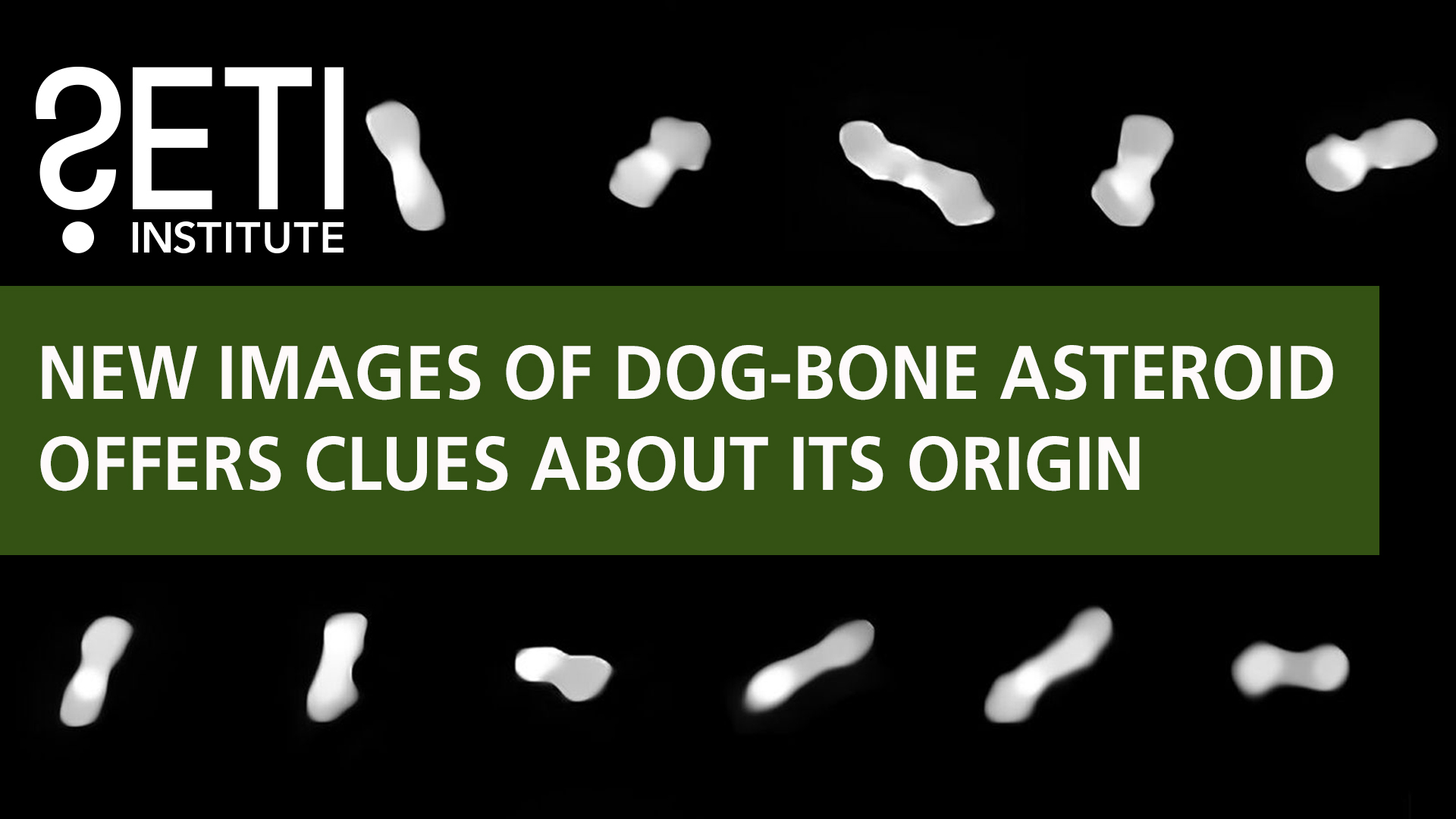 Dog Boned Asteroid