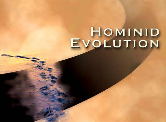 VTT - Hominid Evolution