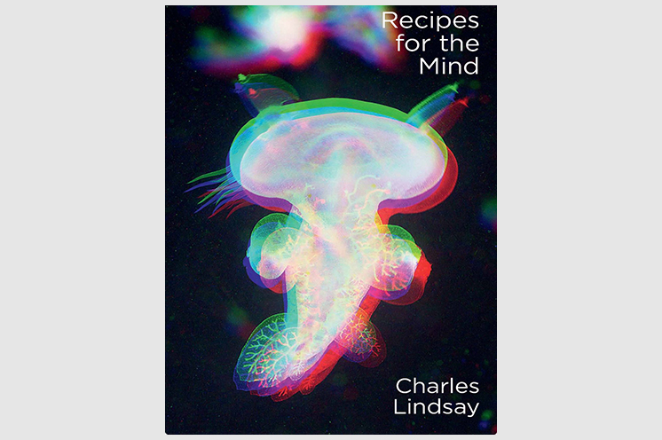 Recipes for the Mind by Charles Lindsay