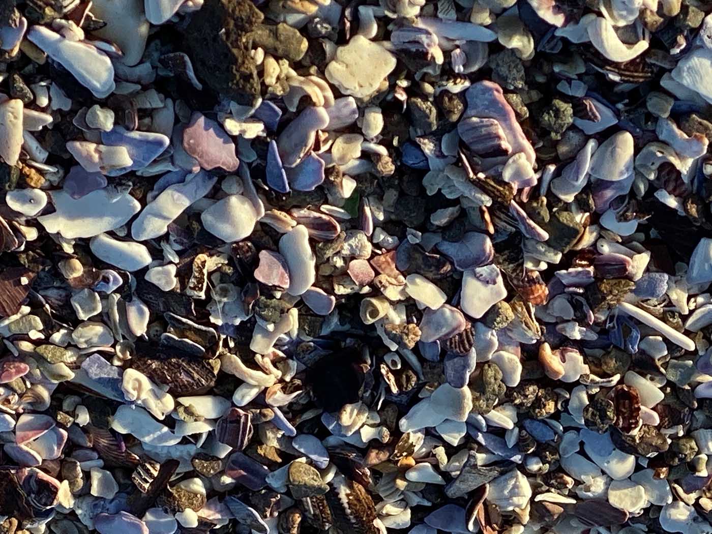 rocks on the beach