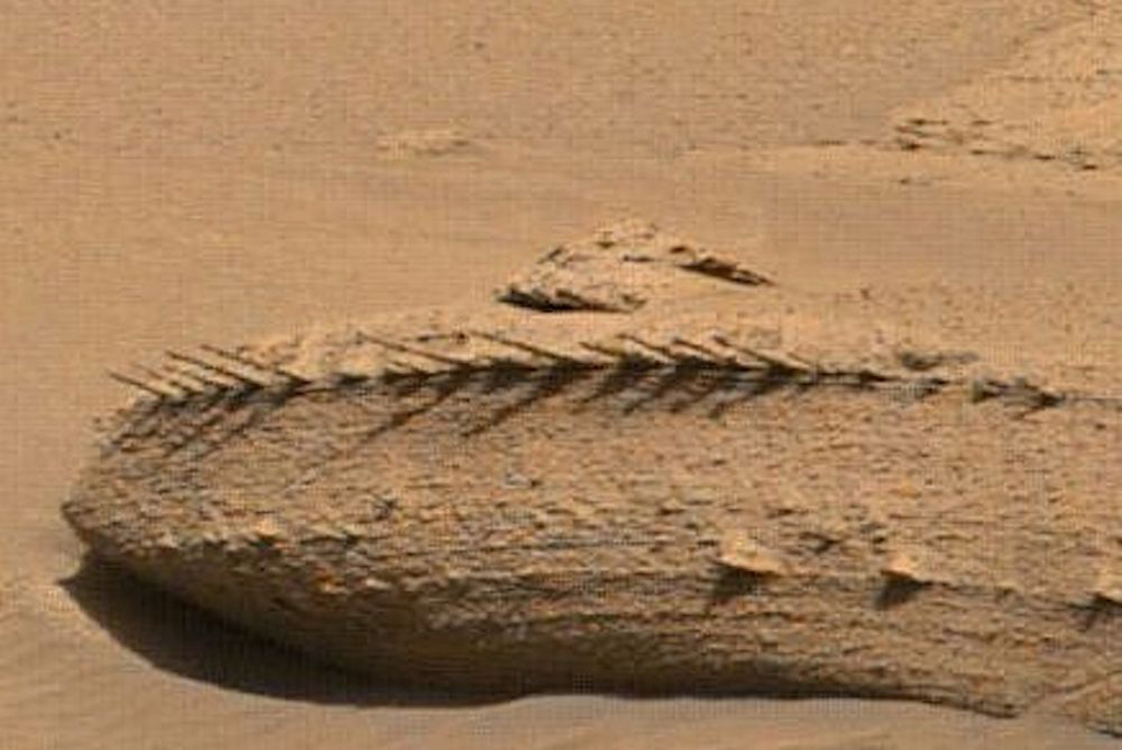 red textured baguette-shaped rock on mars
