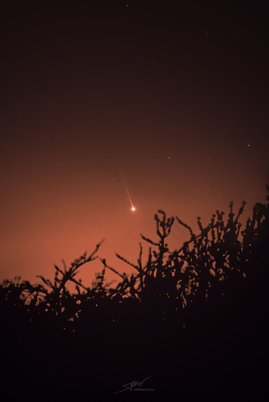 image of a yellow ball of light with a tail in an orange sky as viewed from tall grass.