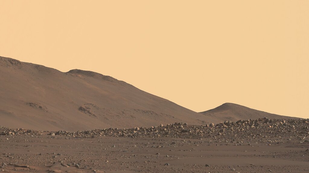 surface view of a desert-like section of mars