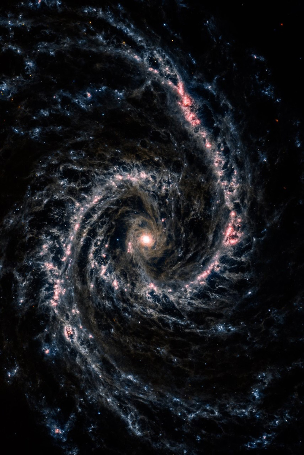 Spiral Galaxy