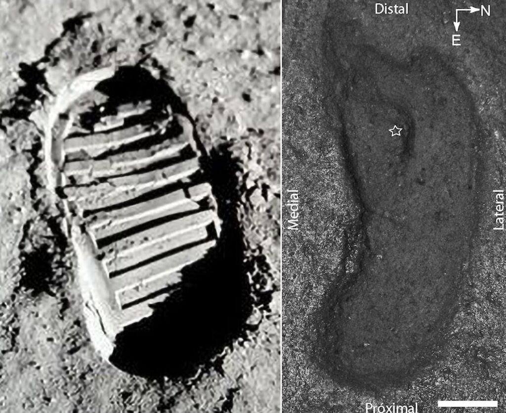 footprint comparison