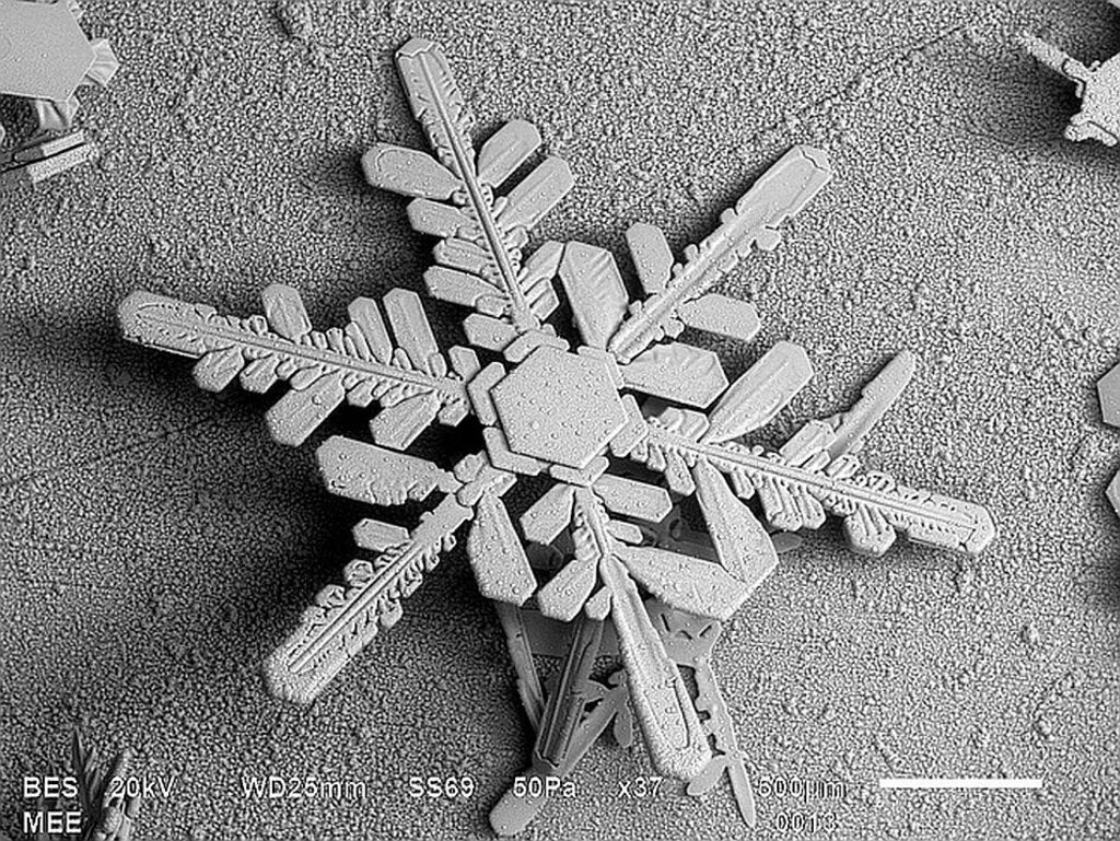 Close up, black and white image of a snowflake