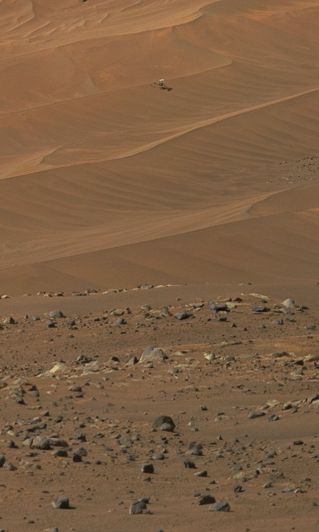 rocky surface of Mars with Ingenuity off in the distance