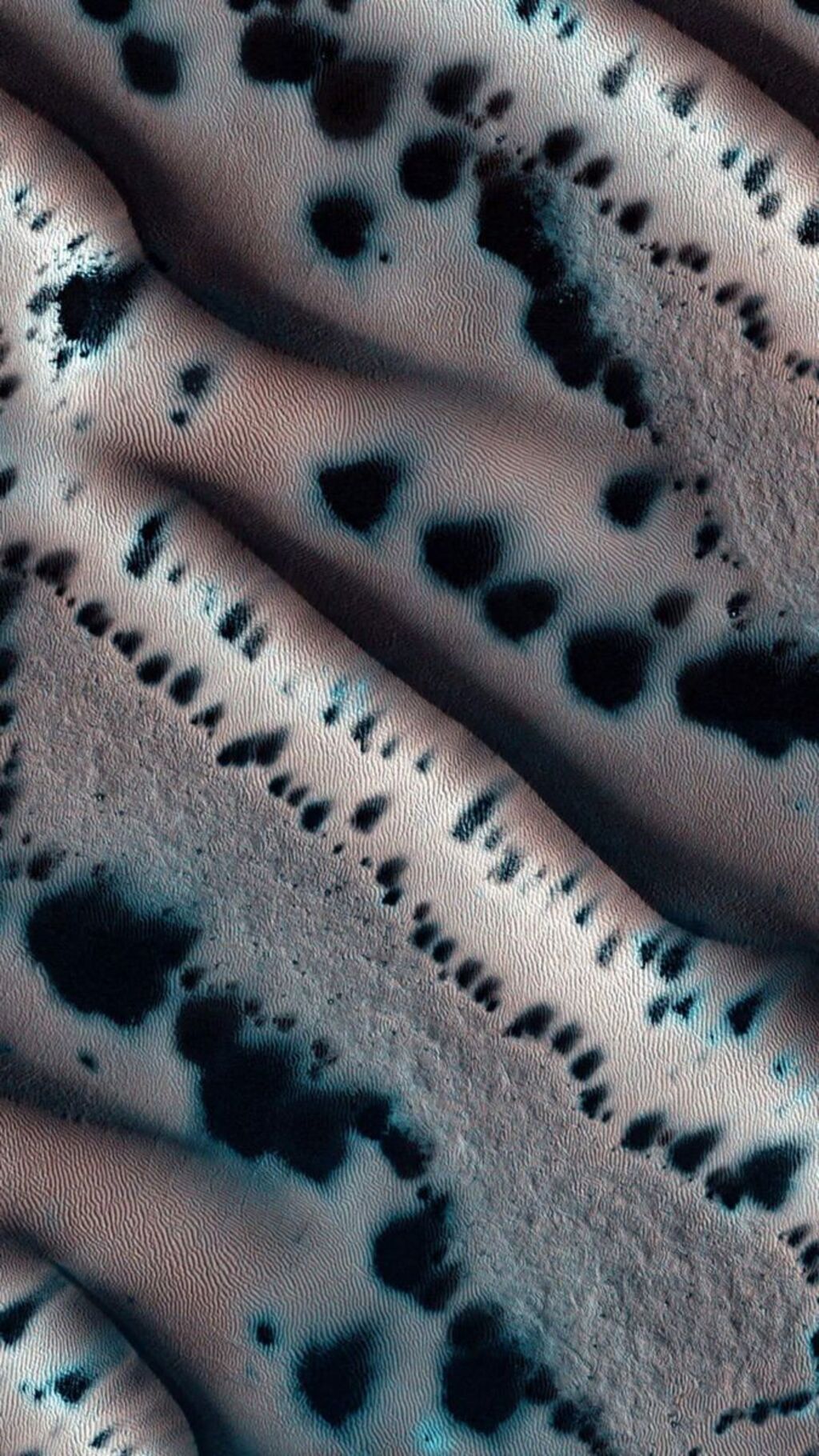 Martian textured surface with black spots