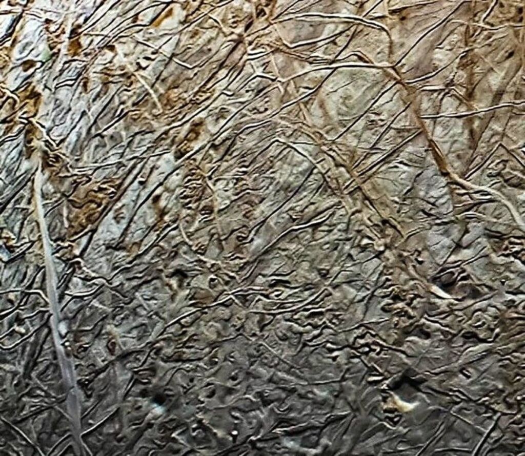 textured brown and beiges of the surface of Europa