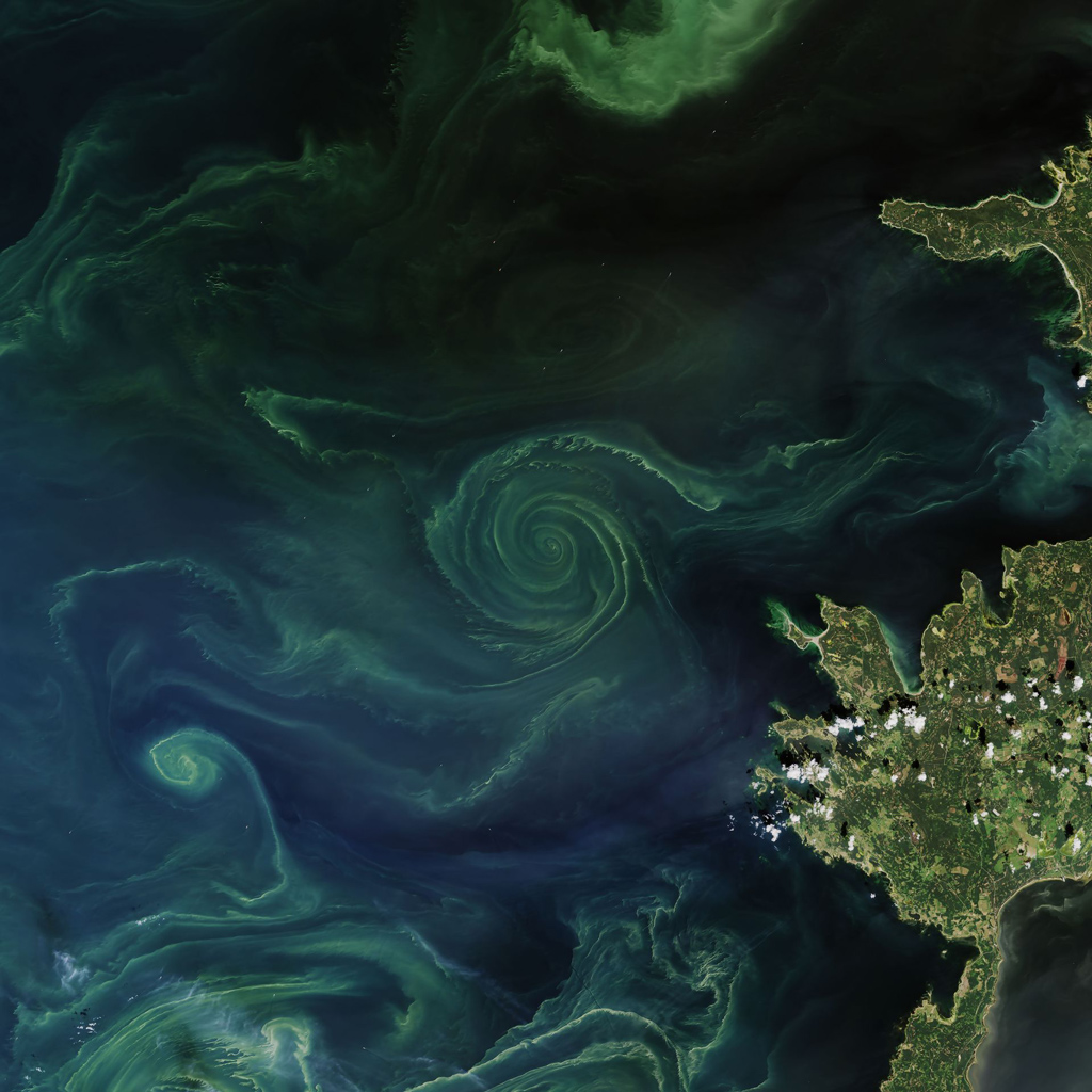 beautiful green and blue swirls appearing in the ocean