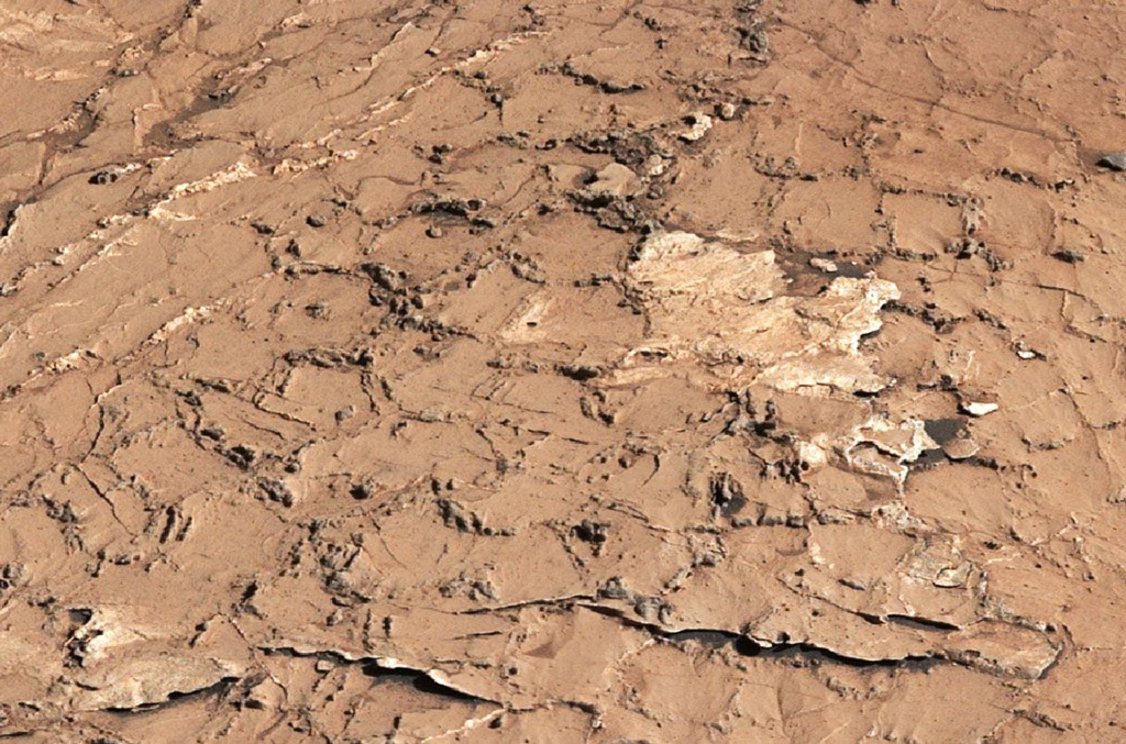 Image of an orange dry muddy surface of Mars