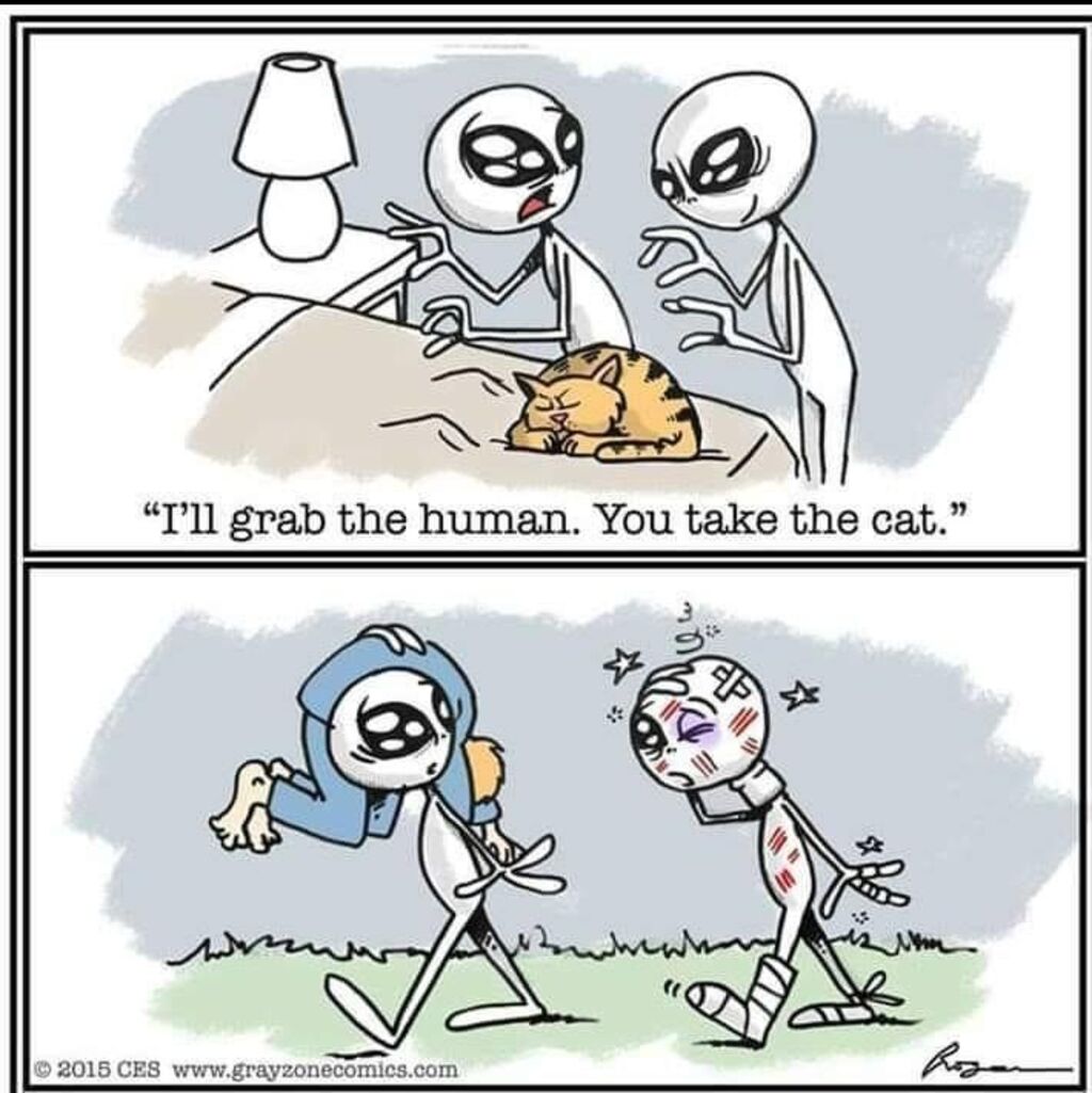 illustration of two aliens in a comic strip. Alien 1 tells Alien 2: "I'll grab the human. You take the cat." the next panel is Alien 1 carrying the human and Alien 2 is injured with cat scratches.