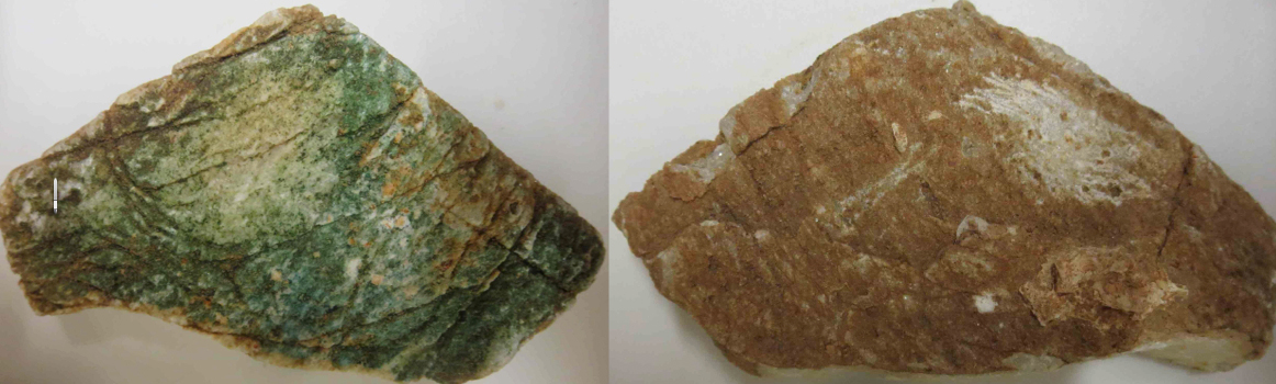 Rock Samples - top and bottom view