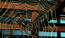 Image of a spider and a spiderweb
