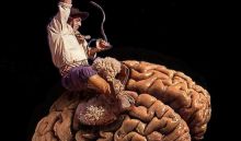 Cowboy riding a Brain