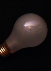 Items in the Library of the Great Silence: Lightbulb